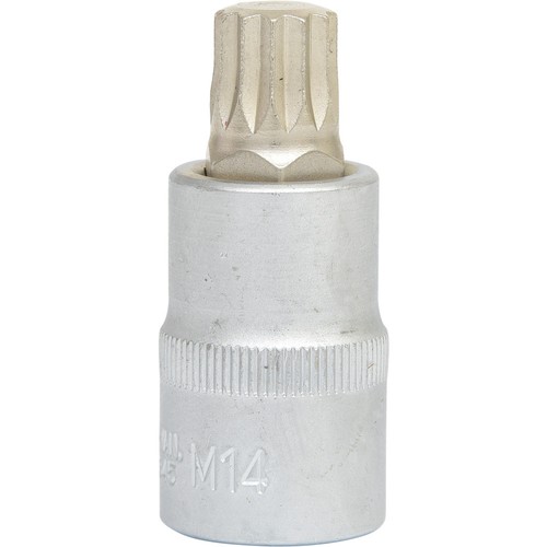 Tools dado bit xzn - bit, 1/2"